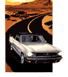 car.gif (2721bytes)
